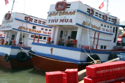 Tàu của DN Bích Thanh lên đường thu mua hải sản ở Trường Sa và Hoàng Sa - ảnh QH