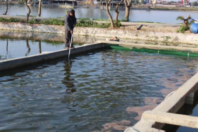 -o-n-sng-trong-o-nui-c-theo-cng-ngh-m-124942645