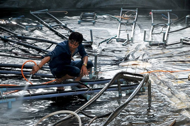 Nuôi tôm công nghệ cao