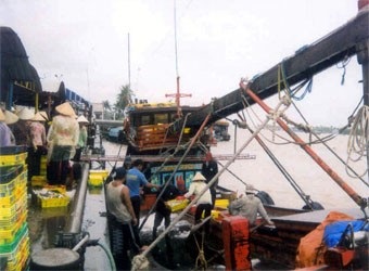 uy-ban-chau-au-ec-the-vang-cho-thuy-san-viet-nam-1049