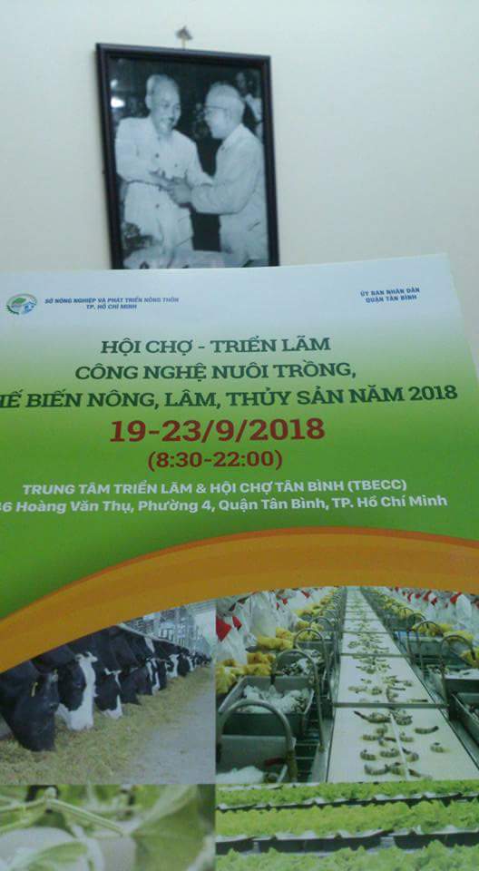 FB_IMG_1537257746295