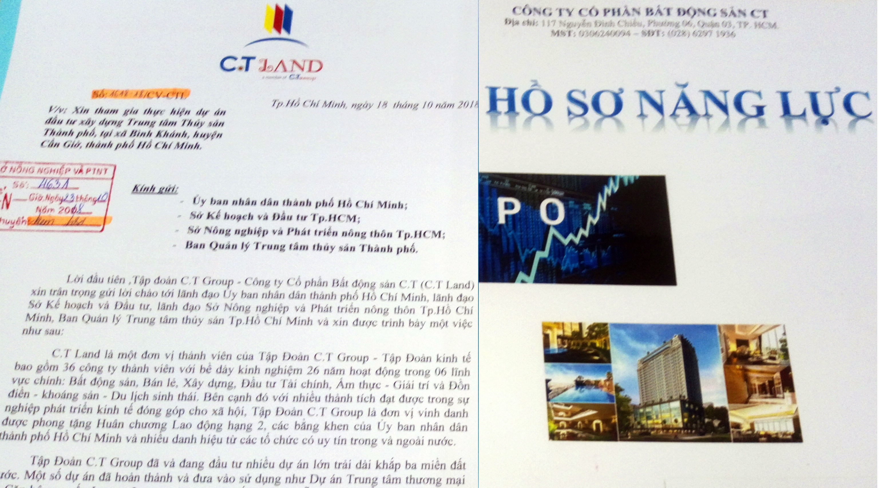 Anh CV 1618 CT Proup