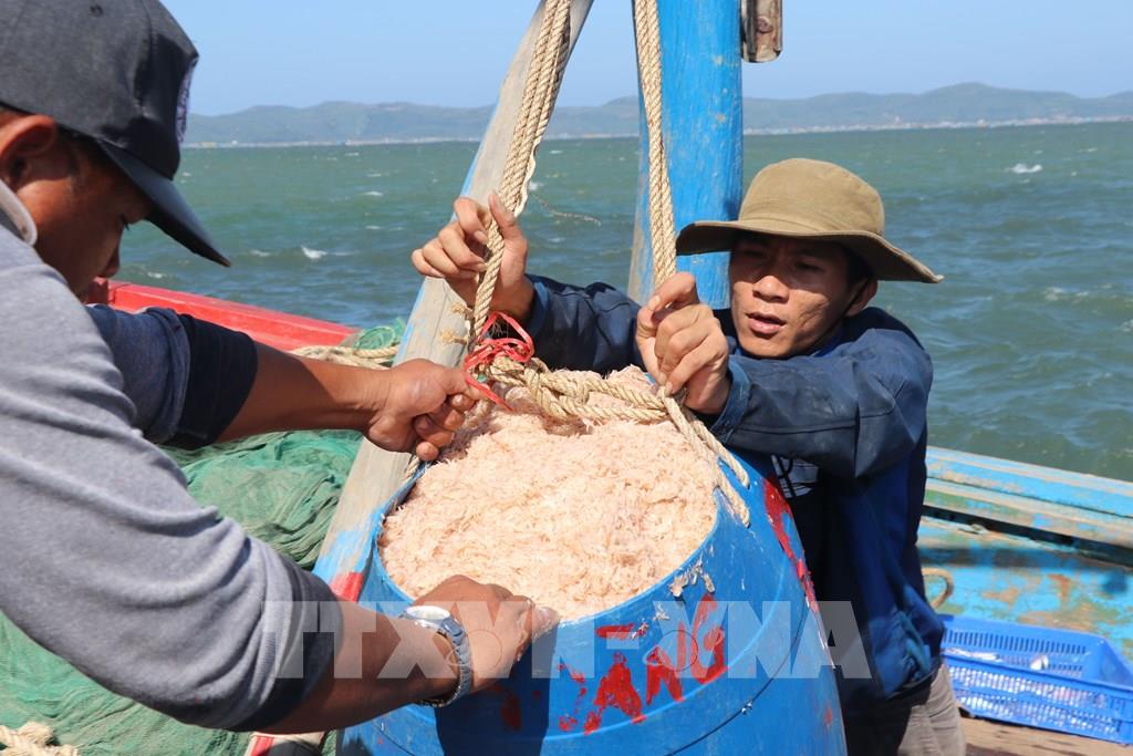 ngu-dan-trung-dam-mua-ruoc-thu-nhap-moi-ngay-tu-4-den-8-trieu-dong-2458