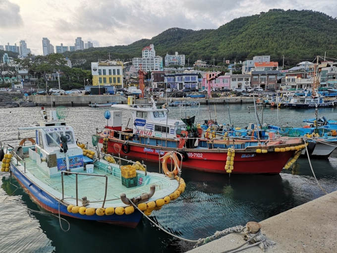 Một góc cảng Busan, nơi các tàu neo đậu.